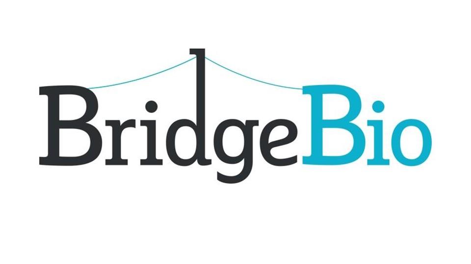 BridgeBio Rebounds On ATTR Cardiomyopathy Data | Pharmaphorum